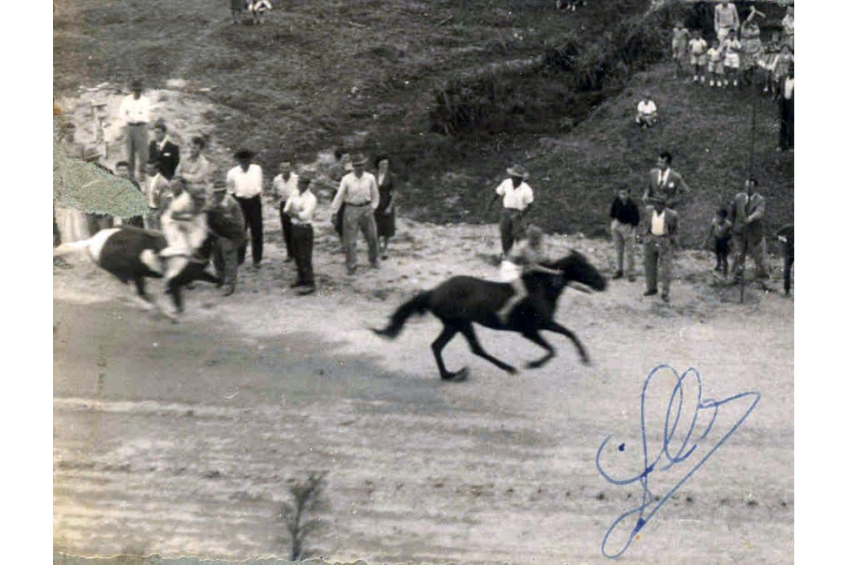Corridas de cavalos em Brusque