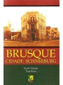 Brusque: Cidade Schneeburg