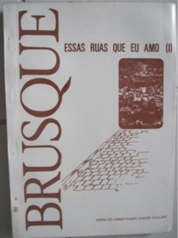 Brusque: essas ruas que eu amo